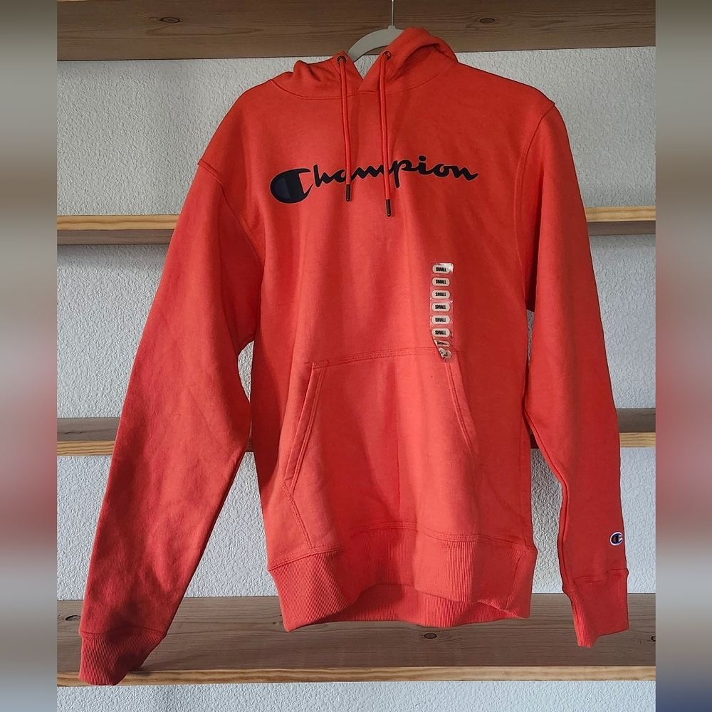 Champions Small Pink Champion Hoodie